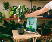 Load image into Gallery viewer, 4qt Organic Houseplant Mix for Potted Plants