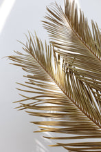 Load image into Gallery viewer, Dried Sago Palm leaves