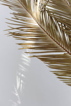 Load image into Gallery viewer, Dried Sago Palm leaves