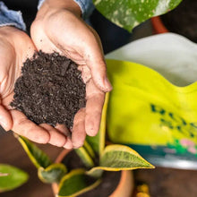Load image into Gallery viewer, 4qt Organic Plant Food