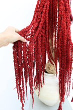 Load image into Gallery viewer, Deep Red Amaranthus Hanging Preserved