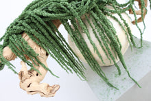 Load image into Gallery viewer, Preserved Amaranthus