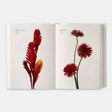 Load image into Gallery viewer, Flower Color Guide