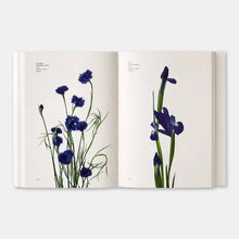 Load image into Gallery viewer, Flower Color Guide