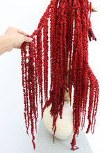 Load image into Gallery viewer, Deep Red Amaranthus Hanging Preserved