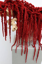 Load image into Gallery viewer, Deep Red Amaranthus Hanging Preserved