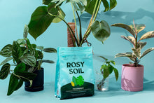 Load image into Gallery viewer, 4qt Organic Houseplant Mix for Potted Plants