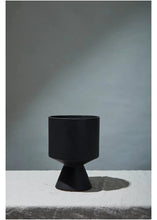 Load image into Gallery viewer, Black Pot Cactus & Succulent