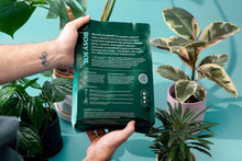 Load image into Gallery viewer, 4qt Organic Houseplant Mix for Potted Plants