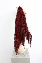 Load image into Gallery viewer, Deep Red Preserved Amaranthus