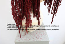 Load image into Gallery viewer, Deep Red Preserved Amaranthus
