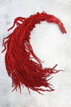 Load image into Gallery viewer, Deep Red Amaranthus Hanging Preserved
