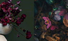 Load image into Gallery viewer, Pretty Dirty

