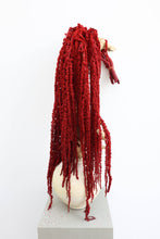 Load image into Gallery viewer, Deep Red Amaranthus Hanging Preserved
