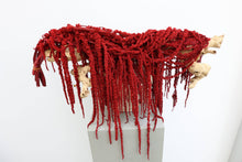 Load image into Gallery viewer, Deep Red Amaranthus Hanging Preserved

