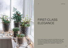 Load image into Gallery viewer, The Potted Garden - All Year Round
