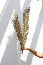 Load image into Gallery viewer, Dried Sago Palm leaves

