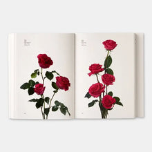 Load image into Gallery viewer, Flower Color Guide
