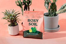 Load image into Gallery viewer, 4qt Organic Cactus &amp; Succulent Mix for Potted Plants

