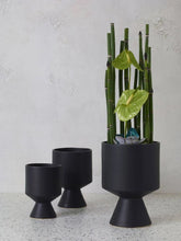 Load image into Gallery viewer, Black Pot Cactus &amp; Succulent
