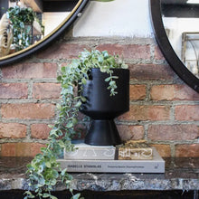 Load image into Gallery viewer, Black Pot Cactus &amp; Succulent

