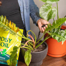 Load image into Gallery viewer, 4qt Organic Plant Food
