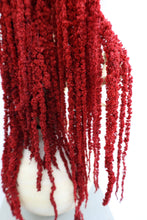 Load image into Gallery viewer, Deep Red Amaranthus Hanging Preserved
