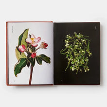Load image into Gallery viewer, Edible Flowers: How  Why  And When We Eat Flowers
